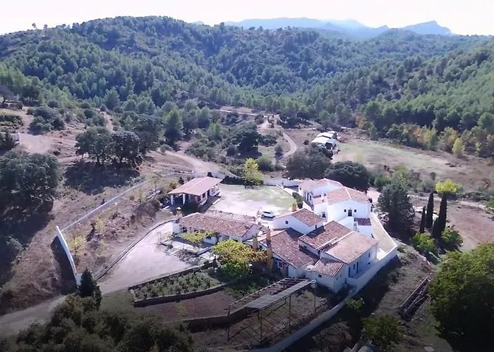 La Rejertilla