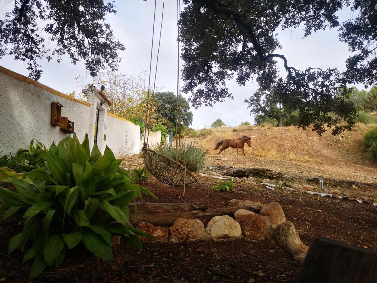 Hostal La Rejertilla